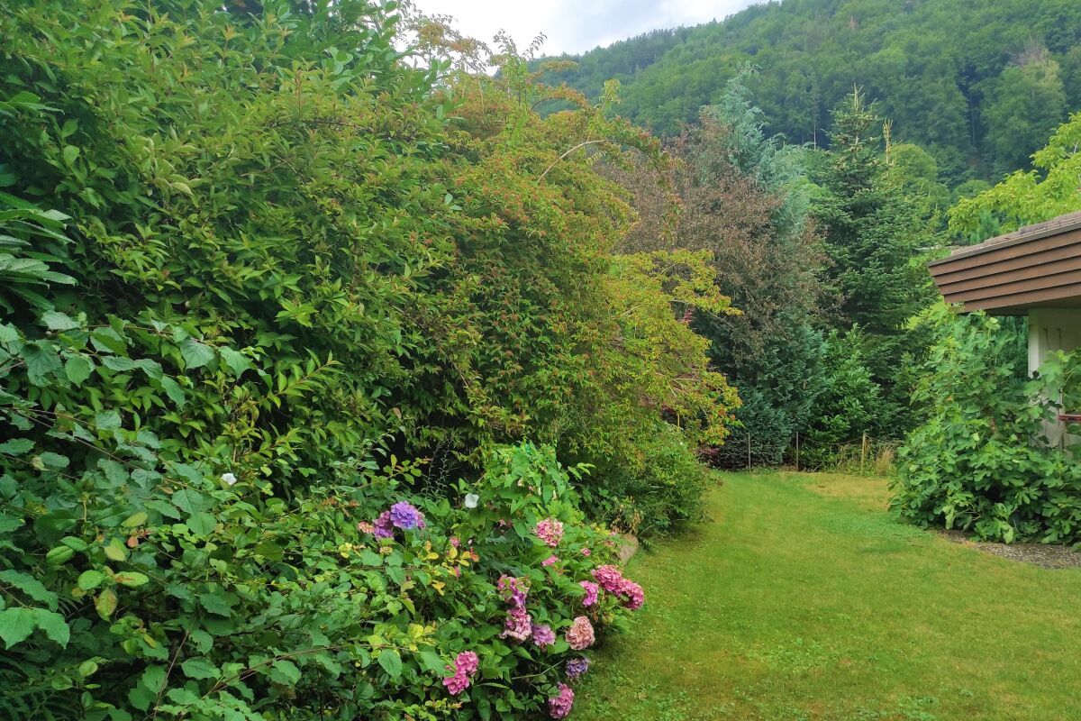 Einfamilienhaus mit attraktiver Baulandreserve - Bild 16