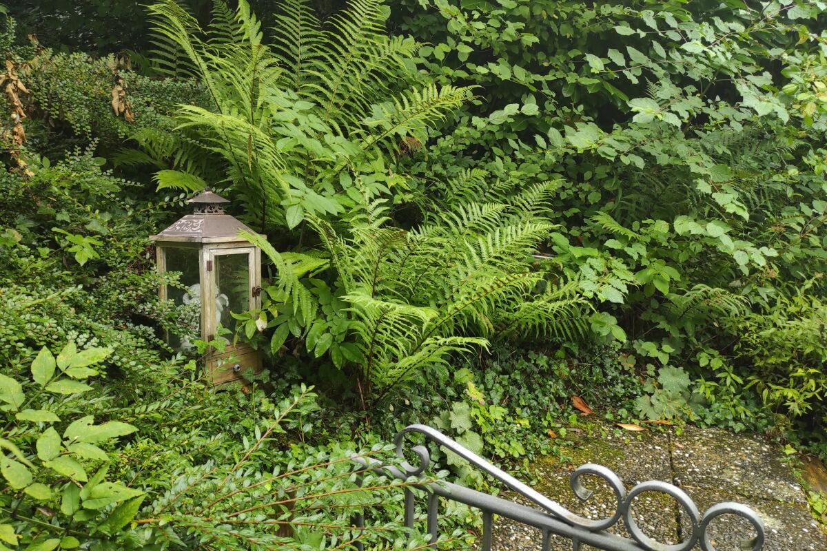 Einfamilienhaus mit attraktiver Baulandreserve - Bild 17
