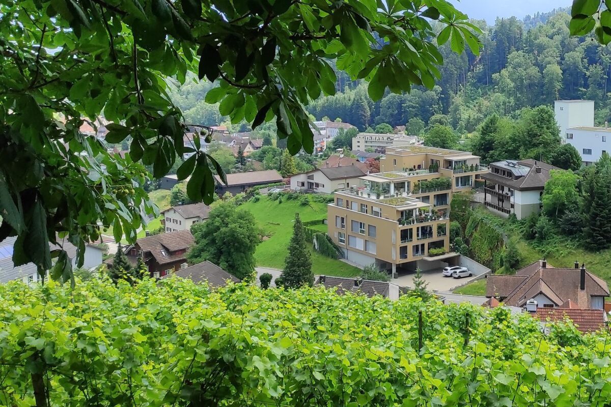 Neuwertige Gartenwohnung mit Weinbergblick in Berneck - Bild 19