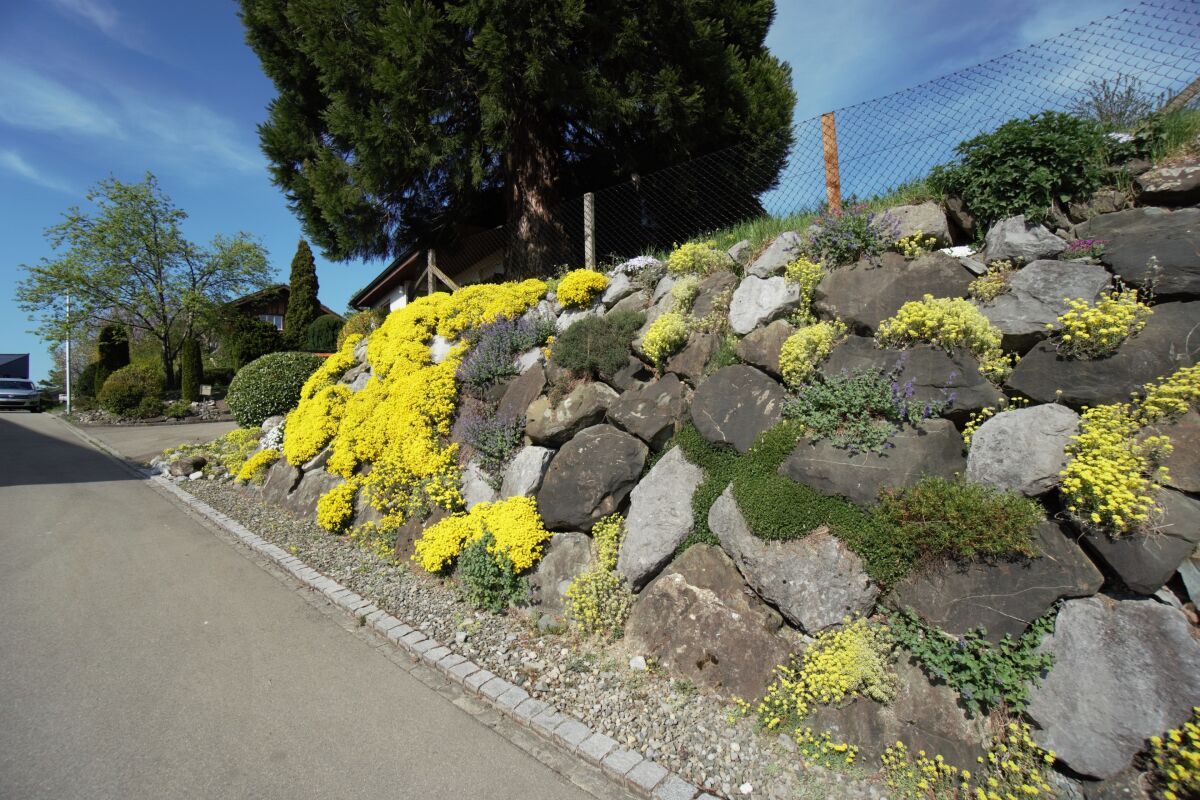 Herrliches Familienparadies an bevorzugter Lage - Bild 18