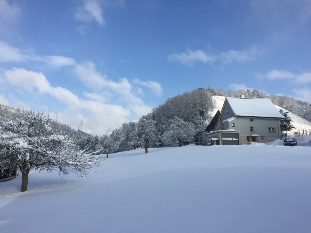 Charmantes Doppel-Einfamilienhaus mit modernem Komfort und viel Platz - Bild 22