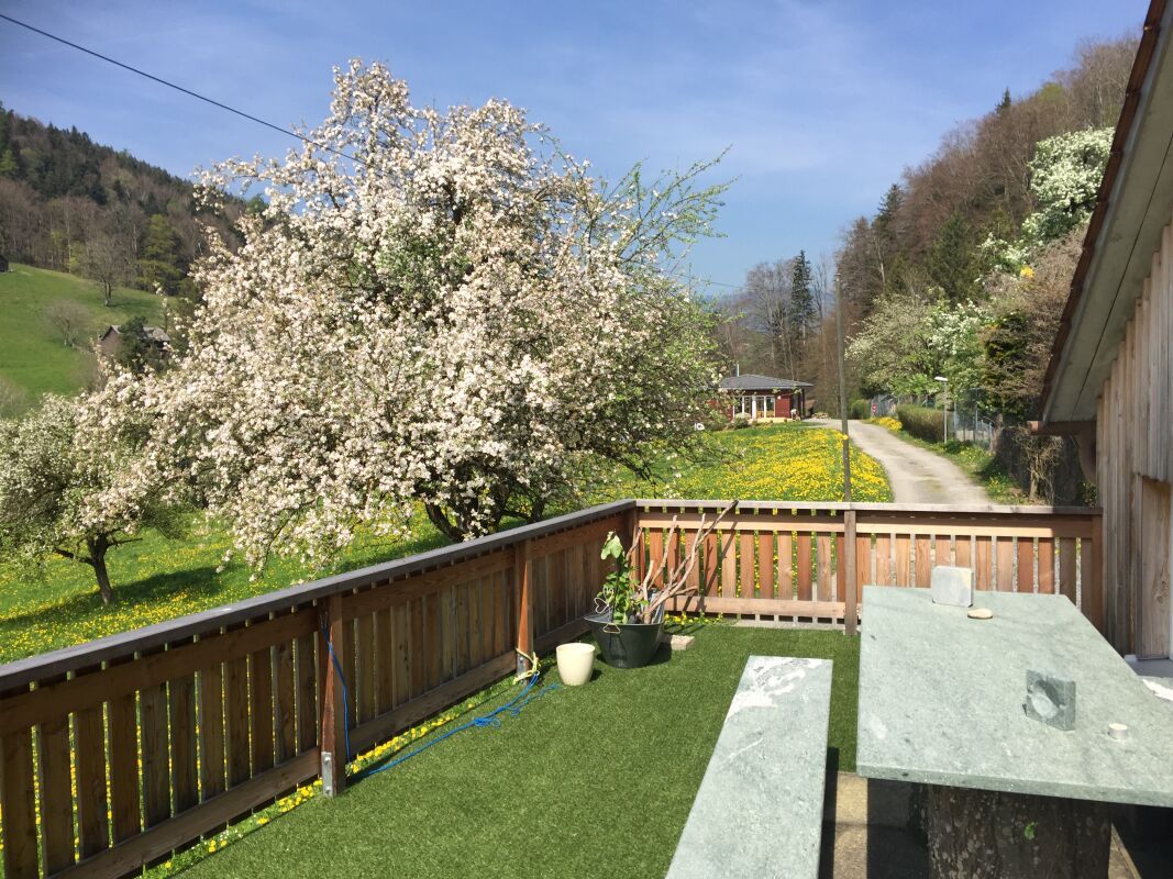 Charmantes Doppel-Einfamilienhaus mit modernem Komfort und viel Platz - Bild 7