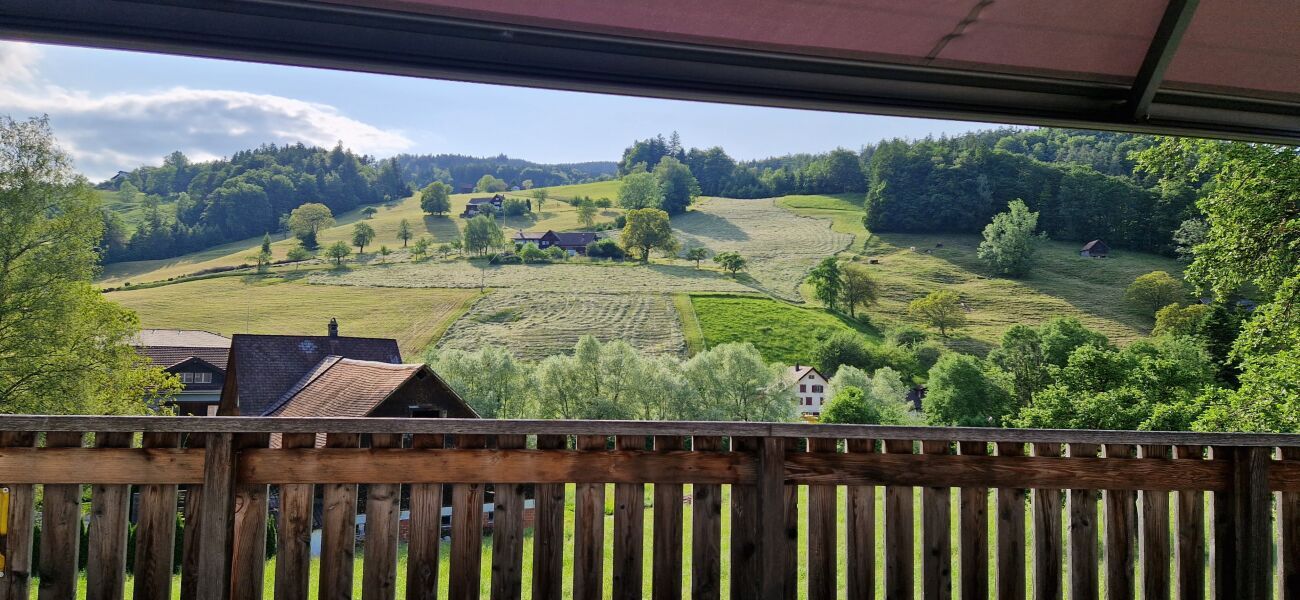 Charmantes Doppel-Einfamilienhaus mit modernem Komfort und viel Platz - Bild 8